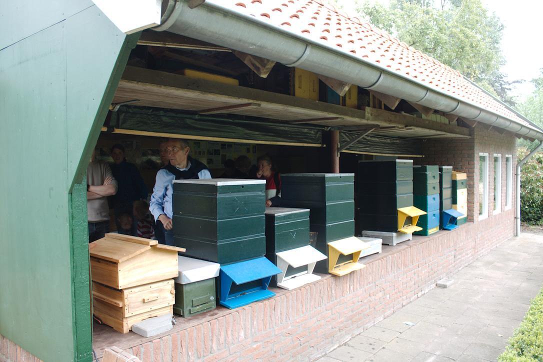 Bijenteeltvereniging
