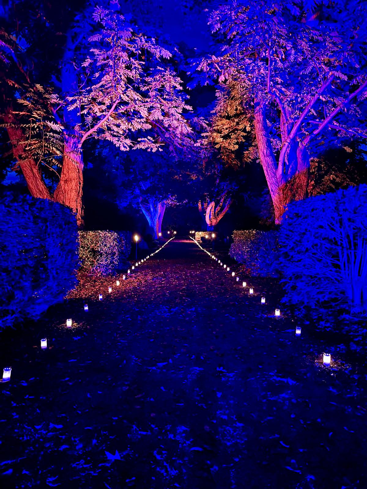 Herdenkingstocht Licht in het Donker